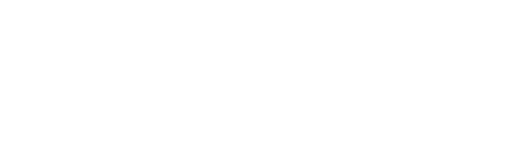 duster-e-tech-blanco